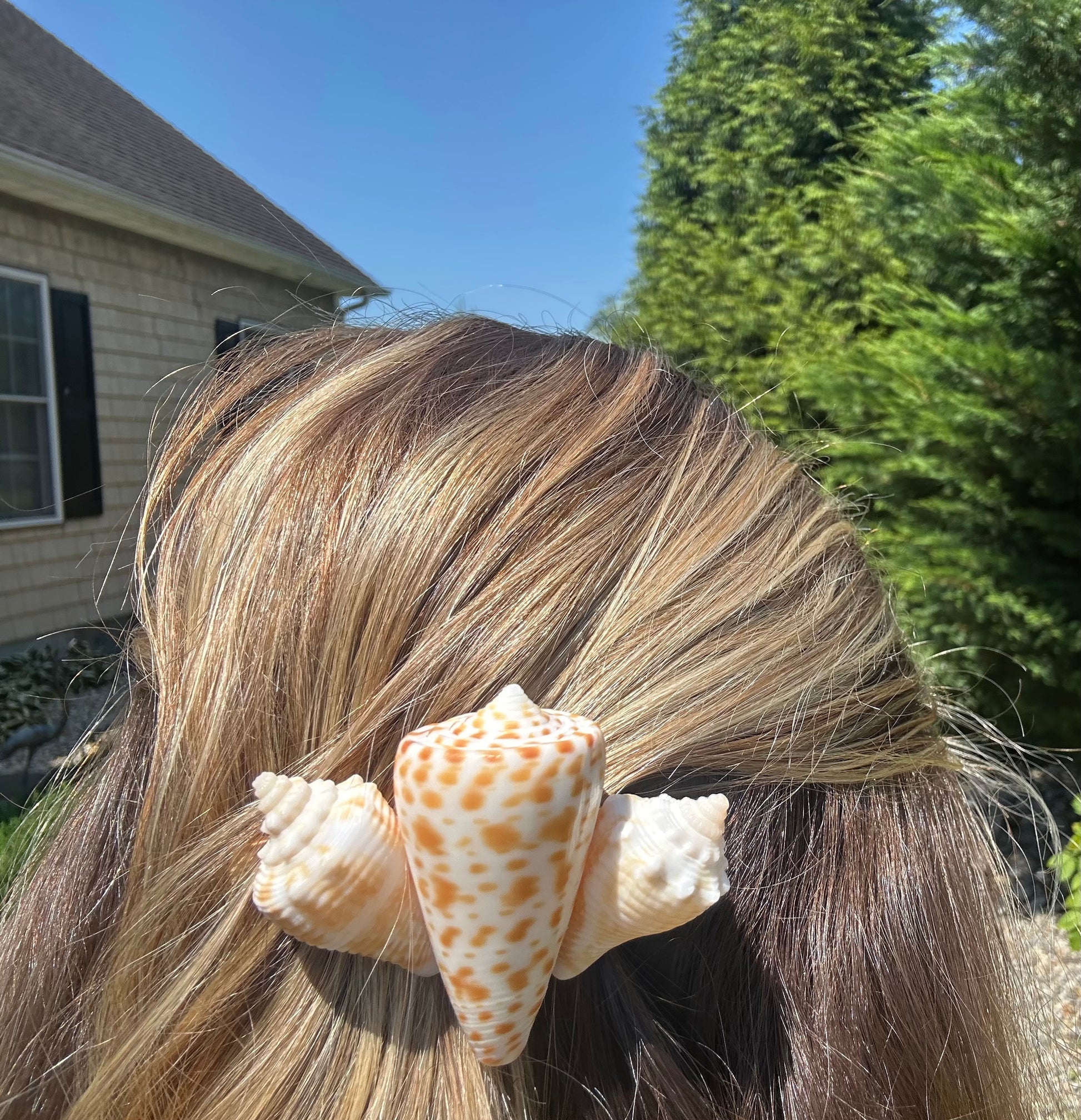 The Mermaid Clip