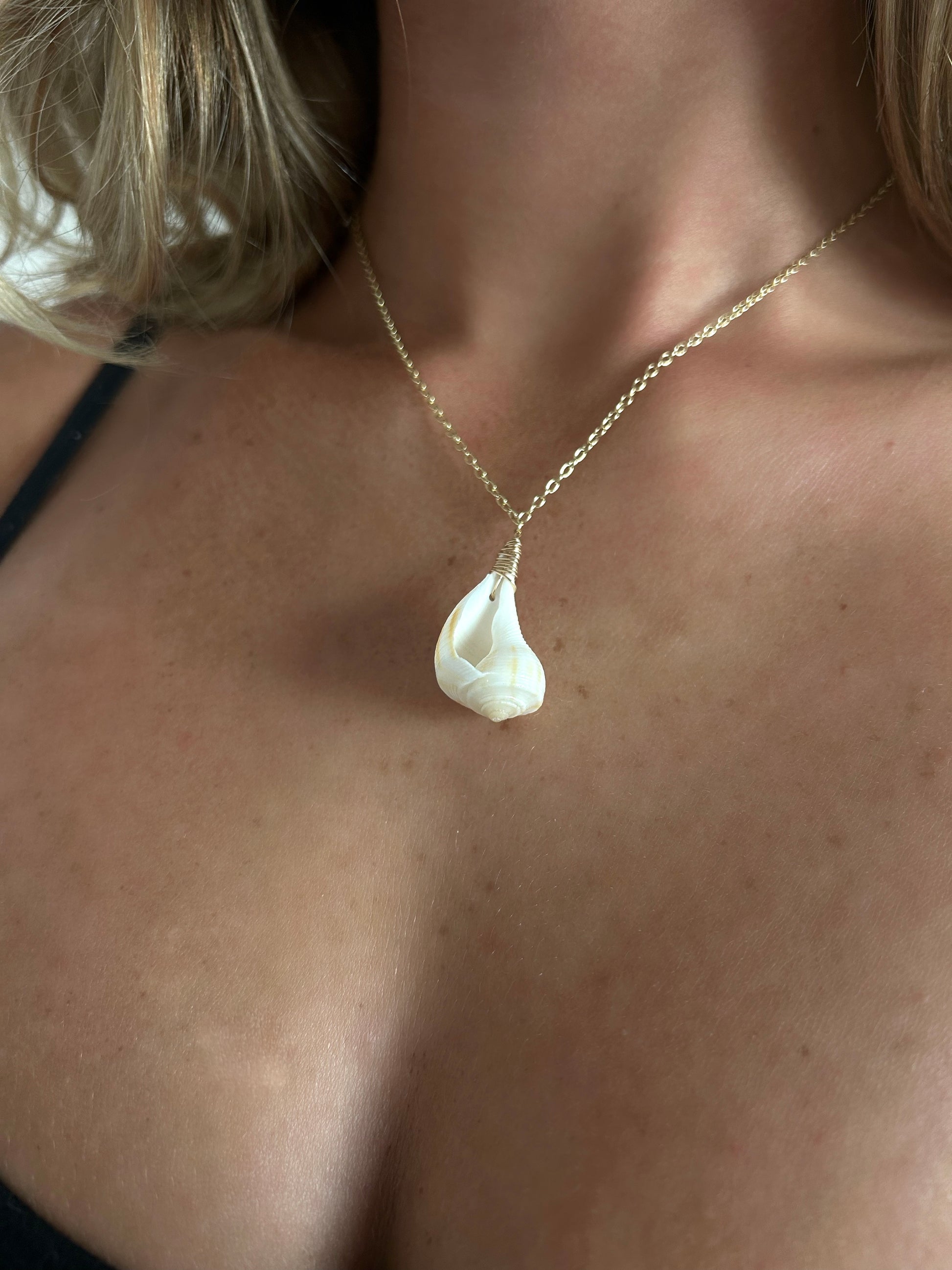 The Pear Whelk Pendent Necklace