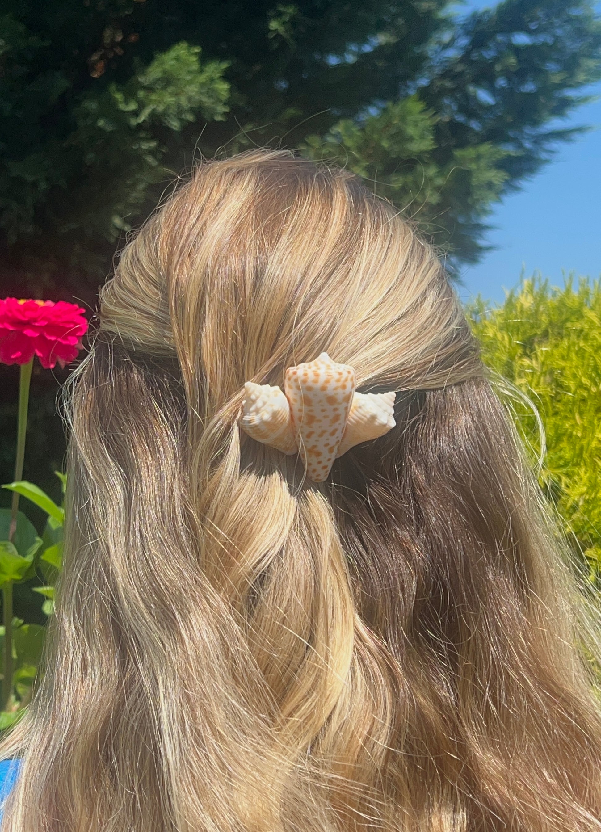 The Mermaid Clip